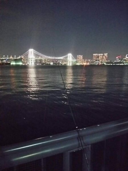 仕事帰りに　～豊洲ぐるり公園～