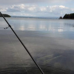 SUPフィッシング