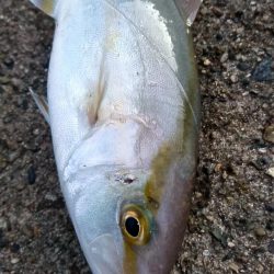 今日はいい日だった