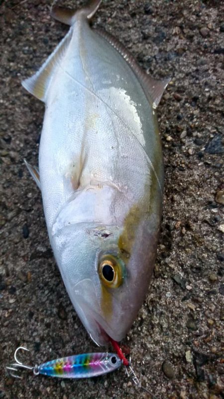 今日はいい日だった