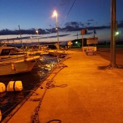 ボチボチな釣果