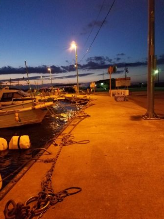 ボチボチな釣果