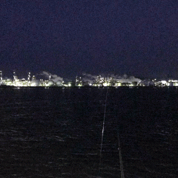 タチウオ調査・姫路イイダコ(2018-4)