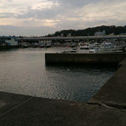 良型シロギスGET