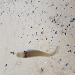 日の出と、共に