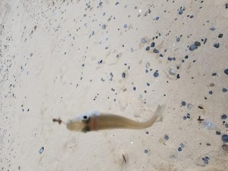 日の出と、共に