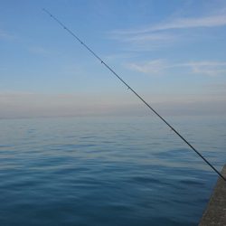 岸和田一文字朝タチ～