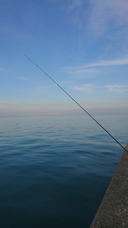 岸和田一文字朝タチ～