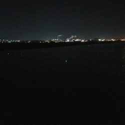 苦労の中での一匹