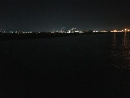 苦労の中での一匹