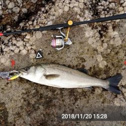 スズキと言っていいですか？