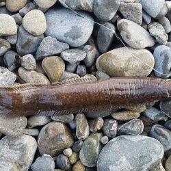 久しぶりの遠征