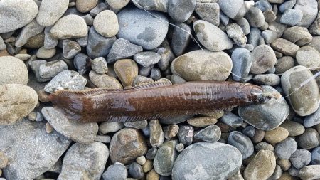 久しぶりの遠征