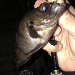 メバリング成立。