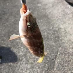 久々の三重釣行