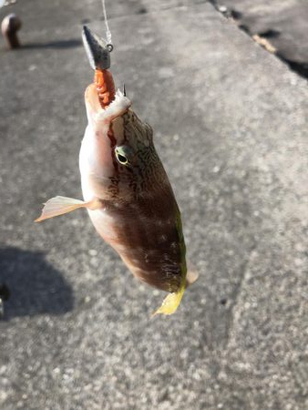 久々の三重釣行