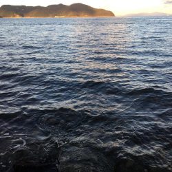 ショアジギング