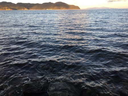 ショアジギング