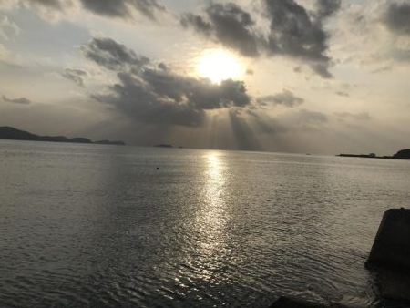 ガッシー( ；∀；)