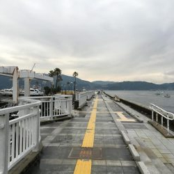 太刀魚渋い デカアジ回遊中