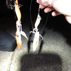 リベンジマッチ