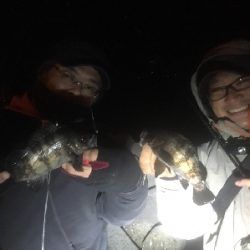 メバリング開幕