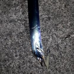 おひさの沖堤防