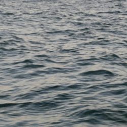 釣り人屋で太刀魚釣り