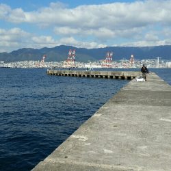 神戸沖堤調査No2