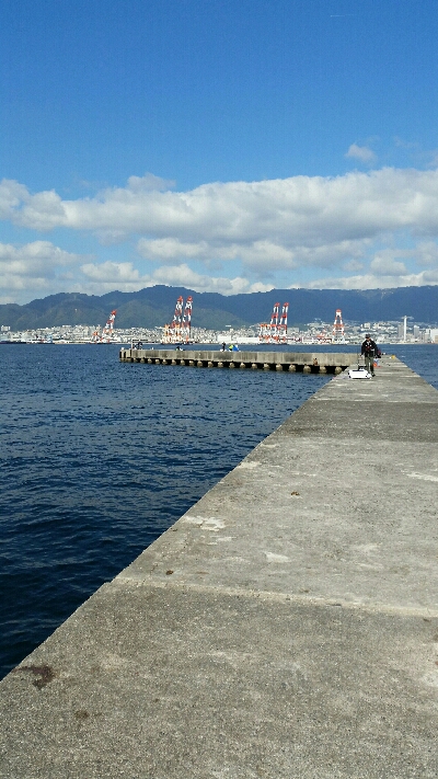 神戸沖堤調査No2