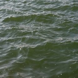 キス釣り　～二時間勝負！～