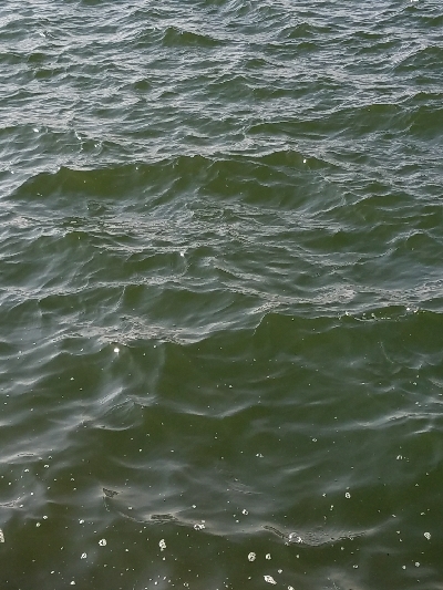 キス釣り　～二時間勝負！～