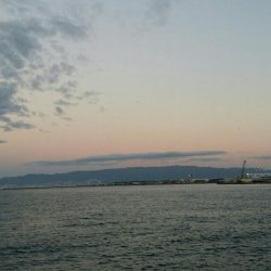 ドジョウで太刀魚