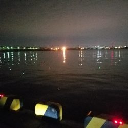 やっぱり渋い･･･