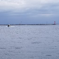 太刀魚集中1時間勝負!