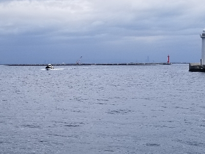 太刀魚集中1時間勝負!