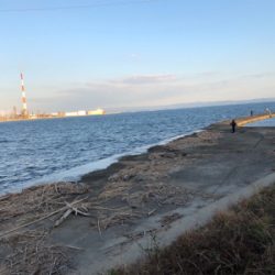 大野川導流堤青物狙い