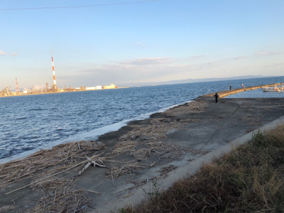 大野川導流堤青物狙い