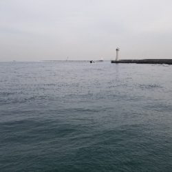 足で稼ぐ釣り。