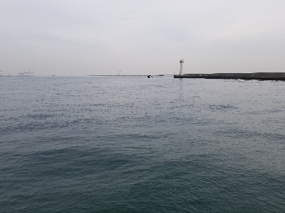 足で稼ぐ釣り。