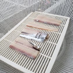 そろそろ終盤？