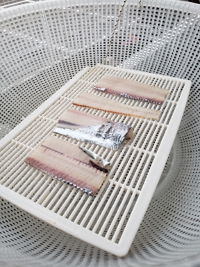 そろそろ終盤？