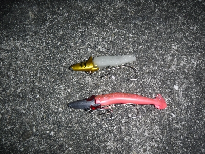 タチウオ渋かったがなんとか1本