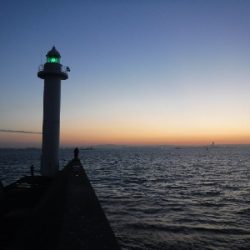 タチウオ終盤　時合短し