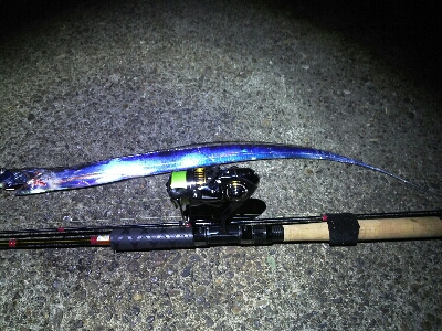 太刀魚シーズン終了？