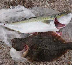 残業でラッキーかな