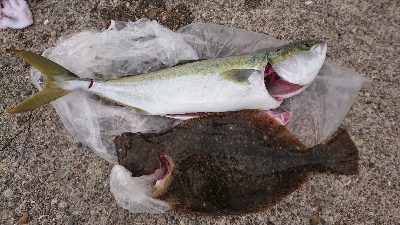 残業でラッキーかな