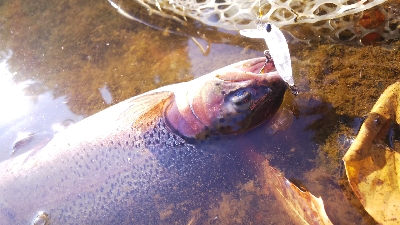 管理釣り場デビュー！