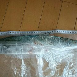 寒くなってきました。