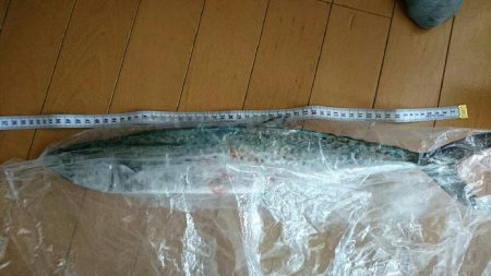 寒くなってきました。